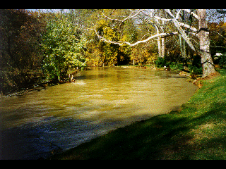 pictures/creek1.gif